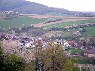 Lúčina