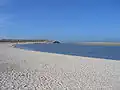 Les dunes de l'île de Texel.