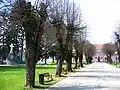 Parc dans le centre-ville