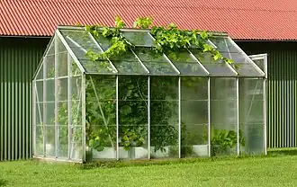 Une petite serre pour de la vigne en Suède.