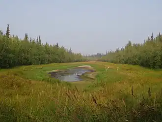 Fort Yukon