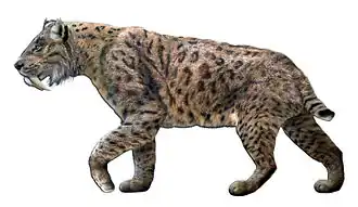 Reconstitution d'un tigre à dents de sabre tacheté sur fond blanc.