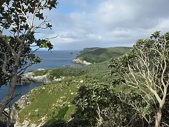 Promontoire Nord des îles Snares