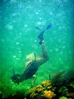Snorkeling (exploration à la palme) du récif