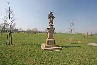 Vitiněves