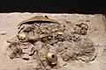 Objets en or de la nécropole de Varna