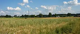 Sokół (Mazovie)