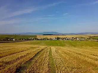 Solčianky