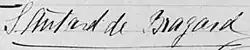 signature de Solange Rosenmark