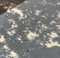 Trous d'épingle naturels vus de College Station, Texas.