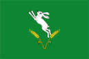 Drapeau de Șoldănești