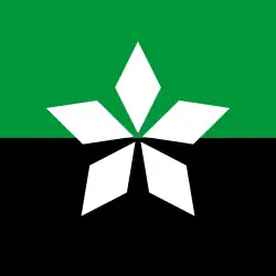 Drapeau de Soledar