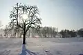 Soleil d'hiver à Draize.