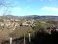 Sologny vue du sud.