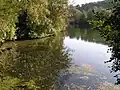 Confluent de la Soloire avec la Charente.