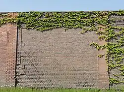 Le mur d'enceinte.