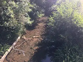 Image illustrative de l’article Sonne (rivière)