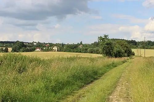 Route à Sonov.
