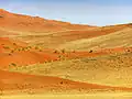 Les dunes rouges.
