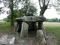 Soucelles_-_Dolmen_de_la_Pierre_Cesée_3.jpg