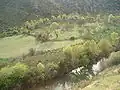 Oued à Souk Ahras
