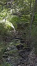 Début de la rivière