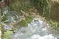 La source de la rivière La Serrière.