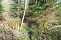 Source du Cristallin (Bois de Oulens-sous-Échallens)