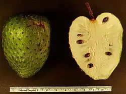 Fruit, coupe