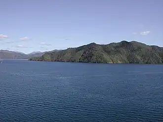 La pointe Ruaomoko, extrémité sud-est de l'île Arapaoa, à la jonction de la baie de Tōtaranui et du canal de Tory