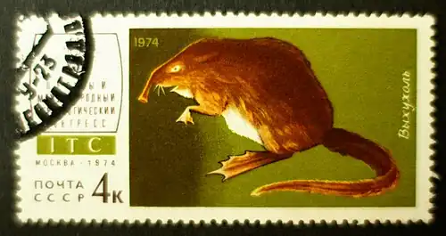 Desman de Russie sur un timbre de 1974.