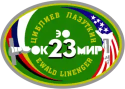 Insigne de la mission