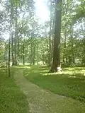 Vue du parc