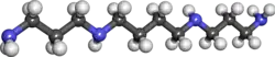 Image illustrative de l’article Spermine