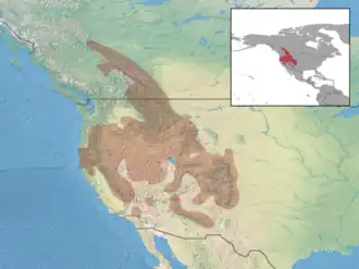Description de l'image Spermophilus lateralis distribution.png.
