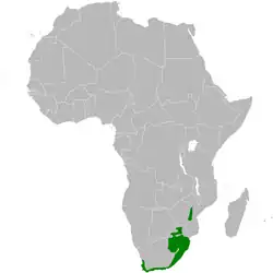carte de répartition de Sphenoeacus