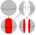 Figure 2a.