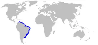 Description de l'image Sphyrna_tudes_distmap.png.