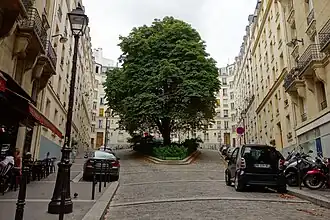Voir la photo.