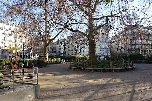 Les platanes.