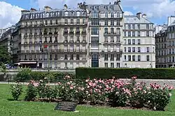 Rosiers plantés par la Première dame Anne-Aymone Giscard d'Estaing en 1975 en mémoire des déportées de Ravensbrück.