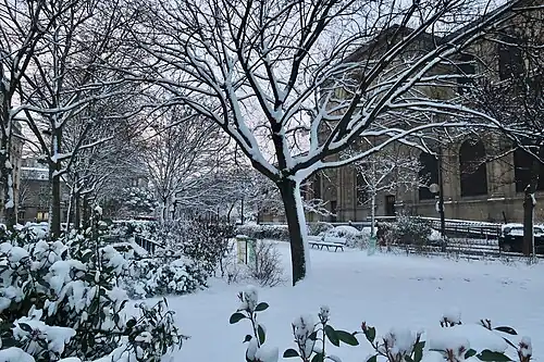 Sous la neige.
