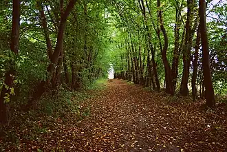 Srebrna (Łódź)