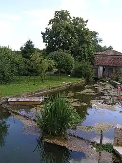 La Nouère