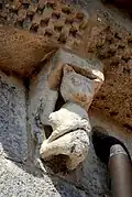 Félin inverti