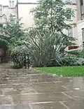 Jardin