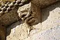 Serpents