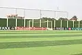 Pelouse du stade