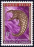 Smutsia gigantea sur un timbre de 1959