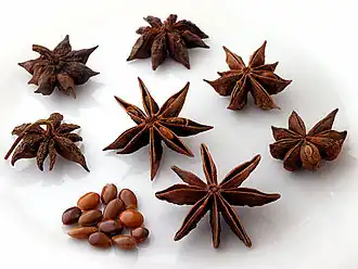 Image illustrative de l’article Badiane chinoise